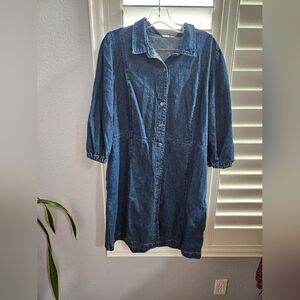 GAP Blue Denim Dress